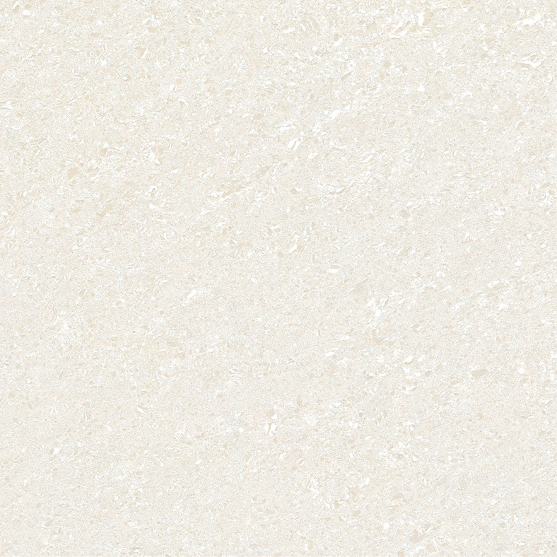 Y2802