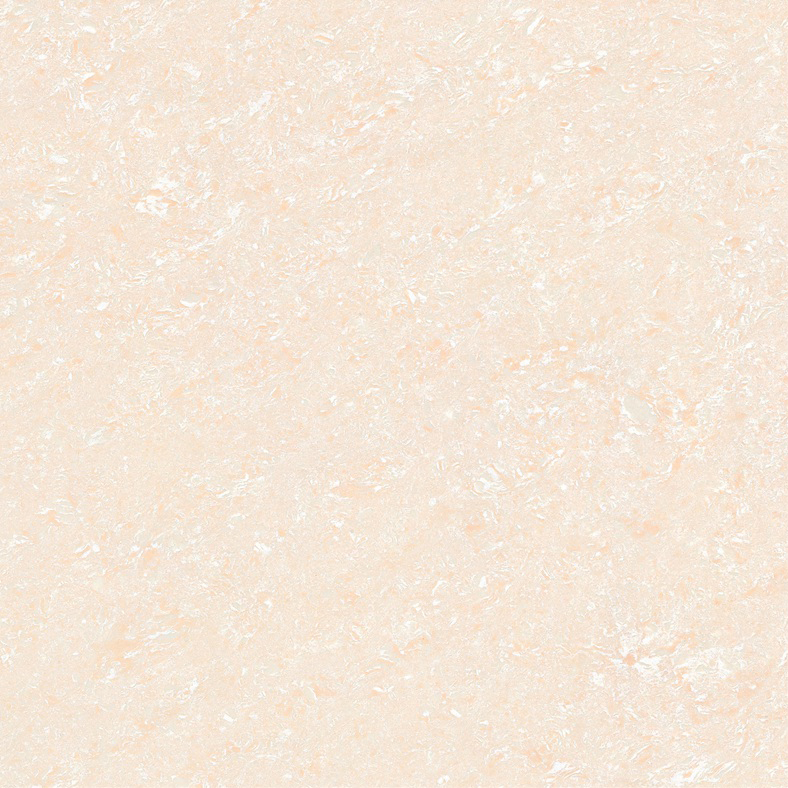 Y2804