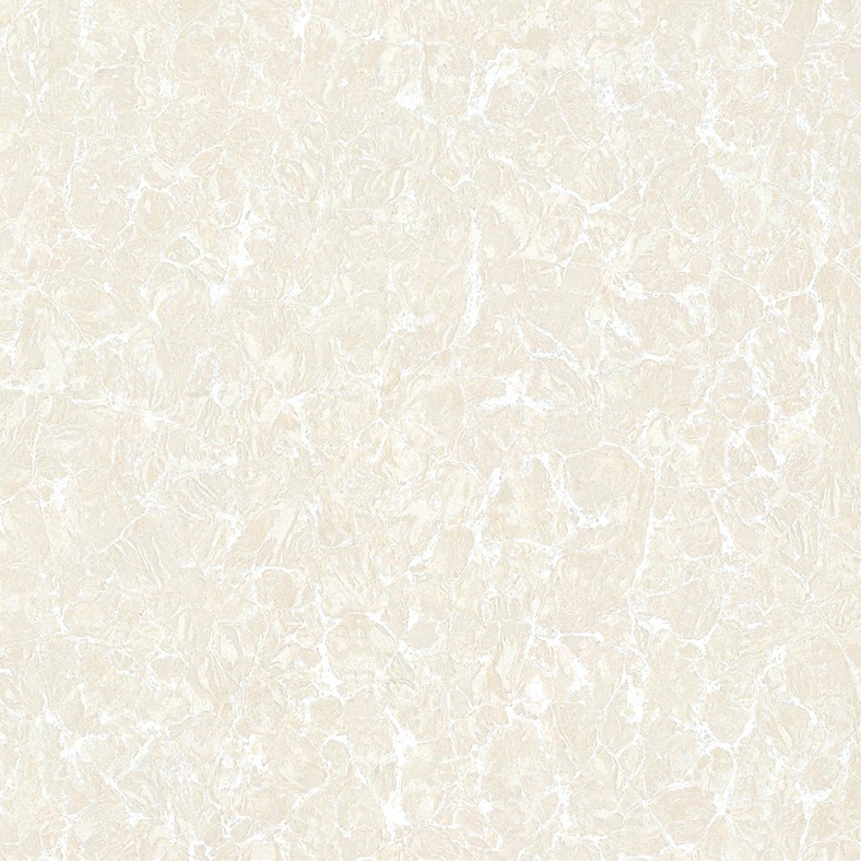 Y5801