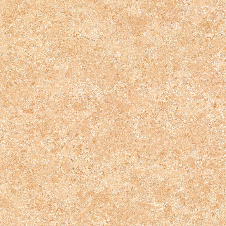 Y9804