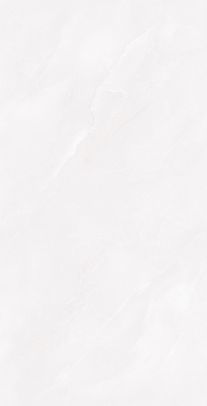 Y361205
