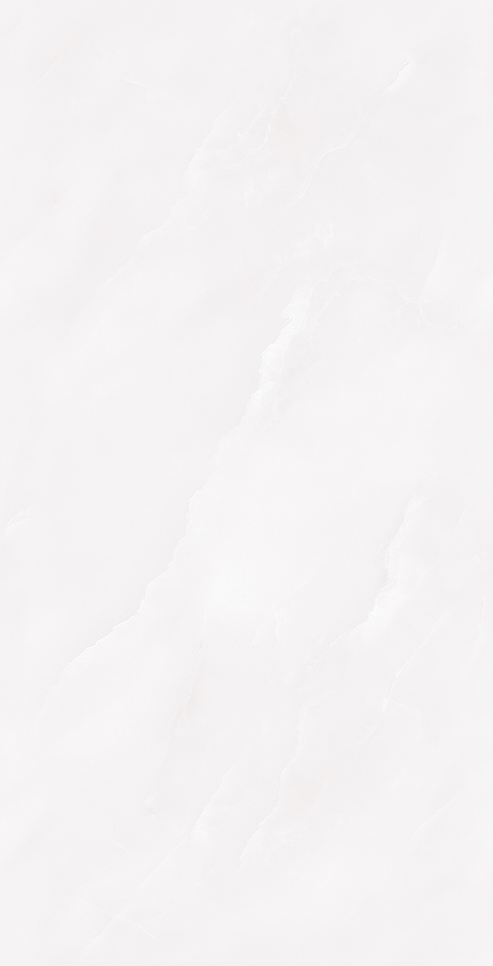 Y361205