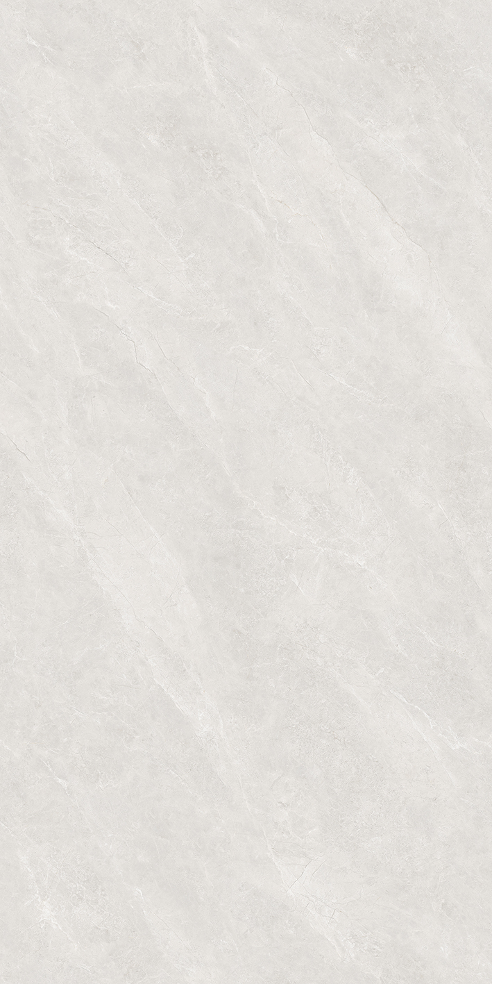 Y671509