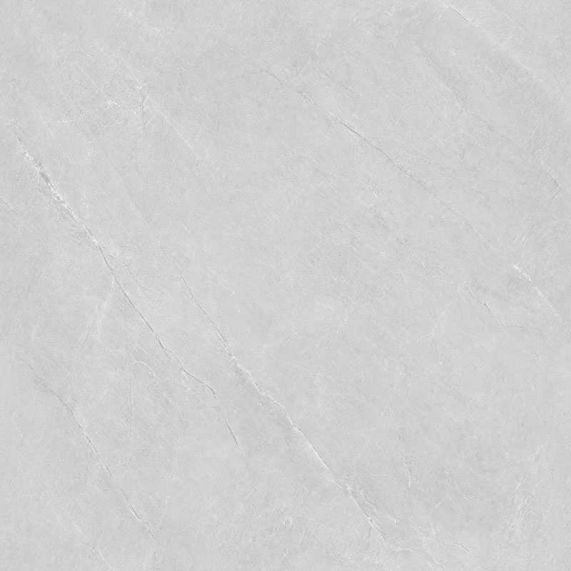 Y81217