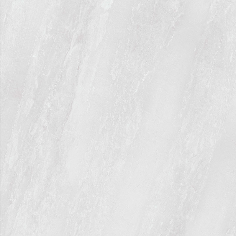 Y81223