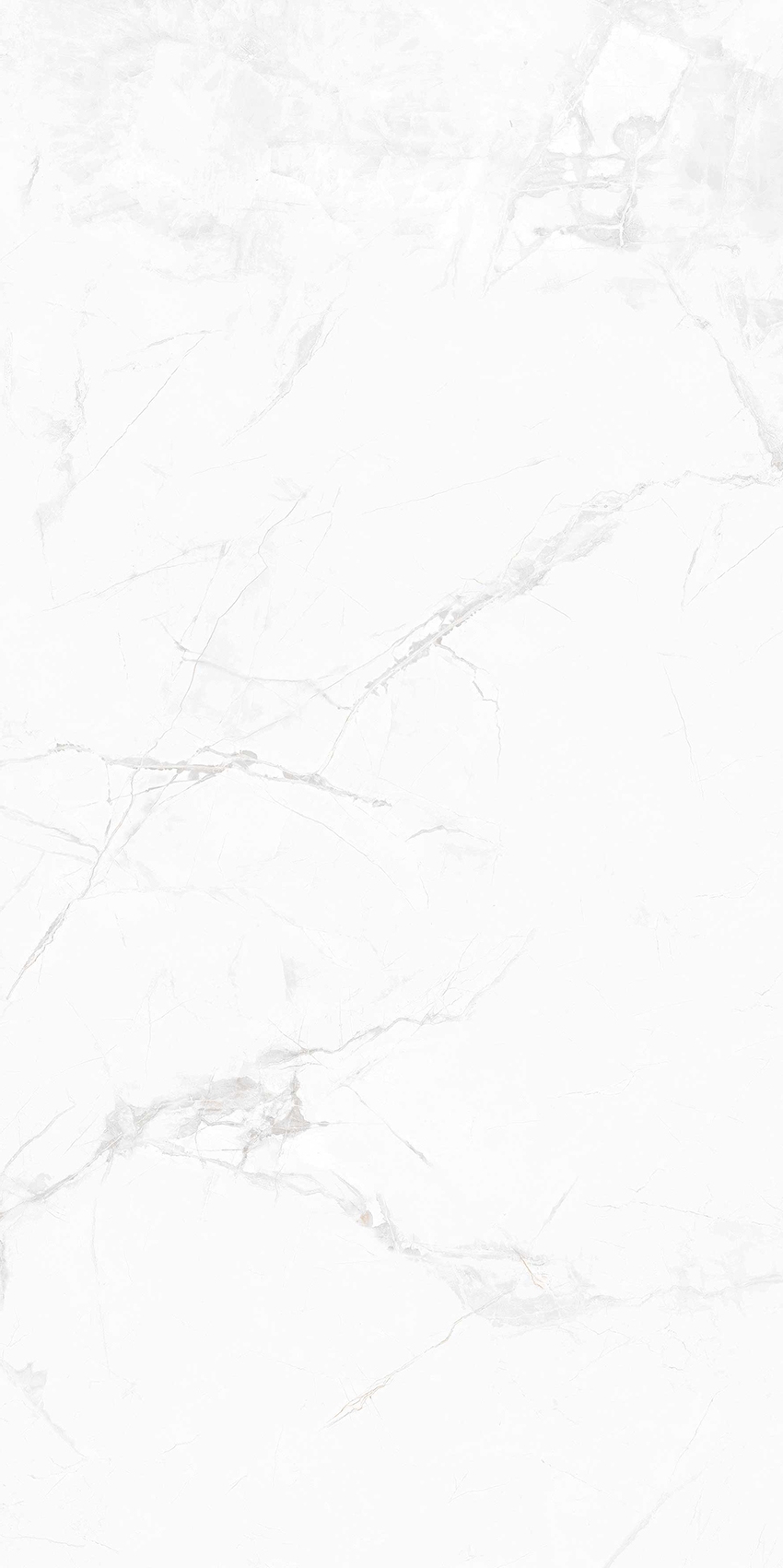 YC48301