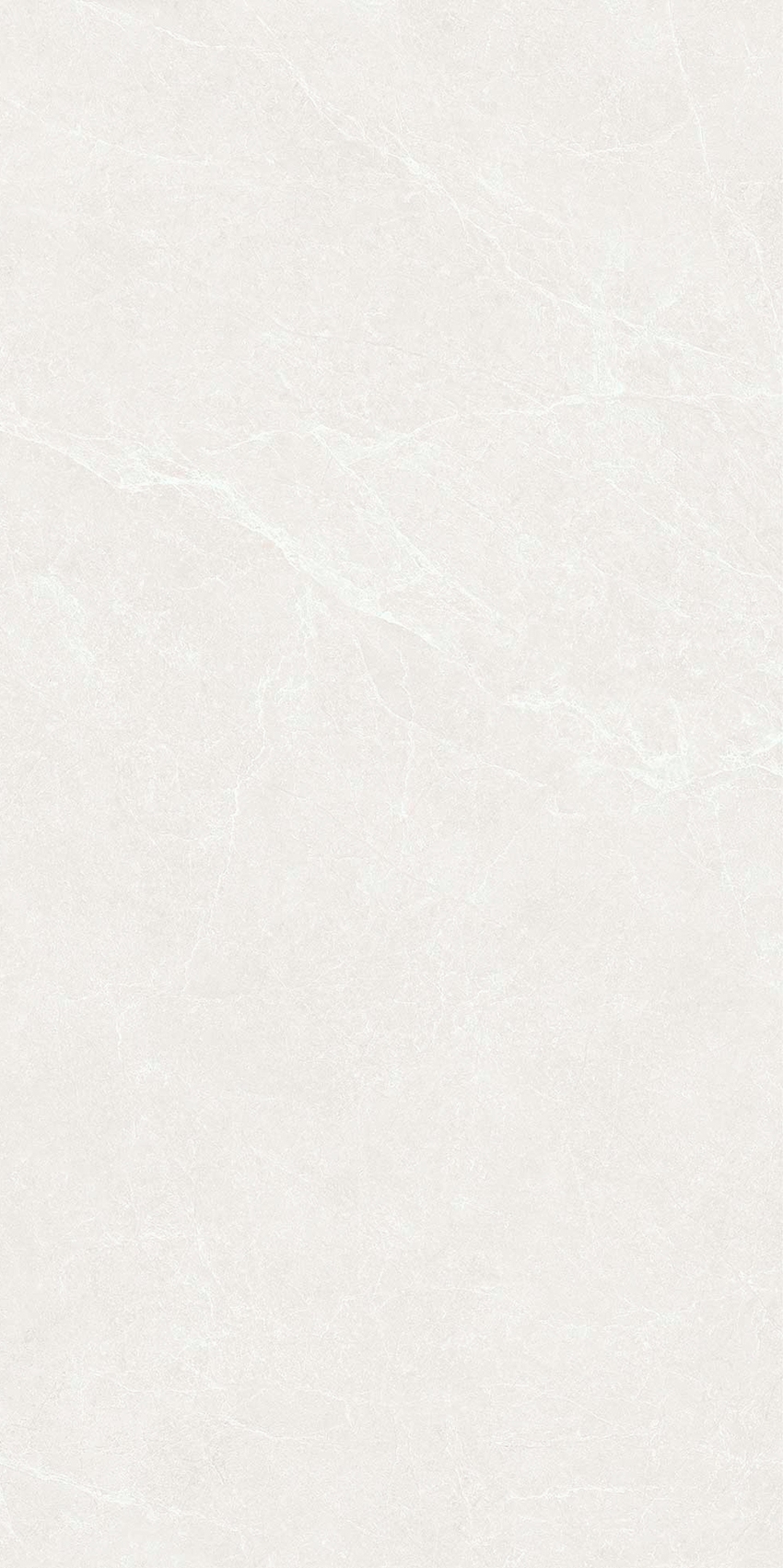 YC48309