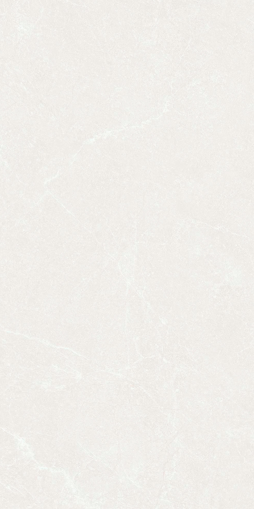 YC48309