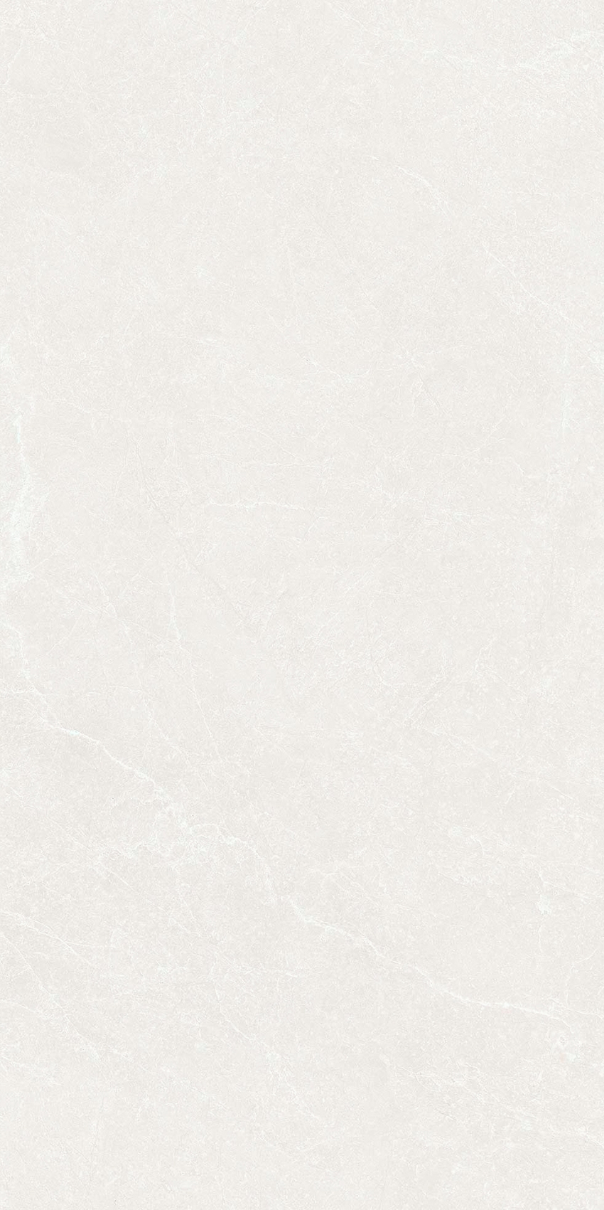 YC48309
